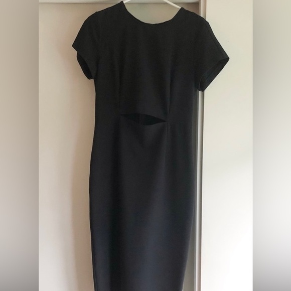 ARITZIA |  BABATON Prosper Dress - Picture 2 of 3